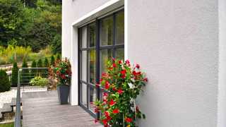 Terrasse mit Pflanzen und Glas-Schiebetür, perfecta
