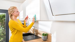 Mellerud; Frau putzt Küchenschrank